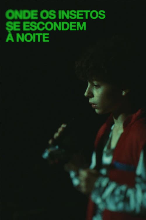 Onde os Insetos se Escondem à Noite (2024) poster