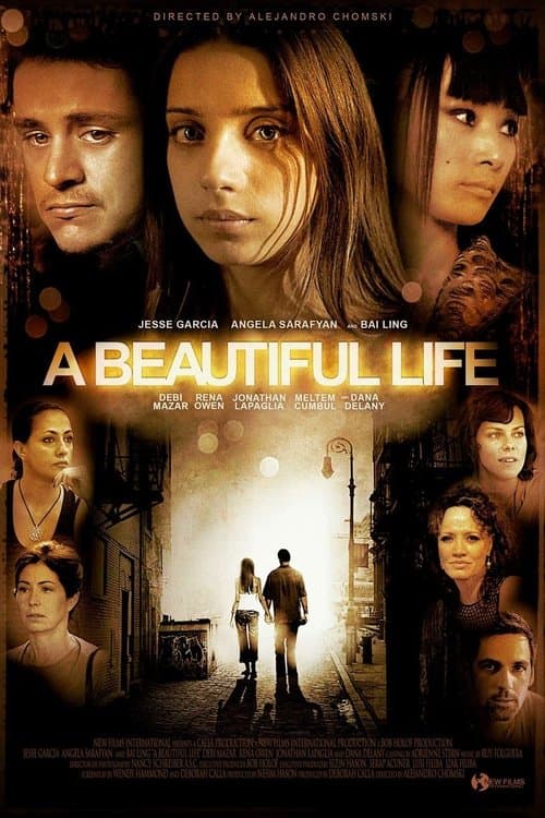 A Beautiful Life (2009) poster