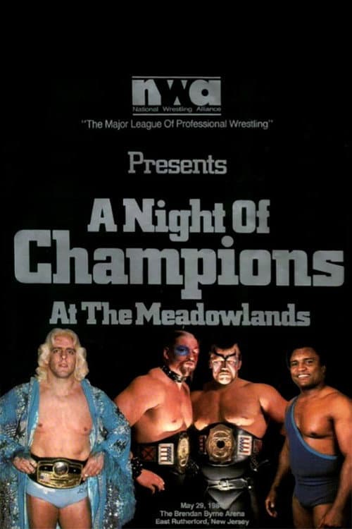 NWA Night of Champions (1984) poster