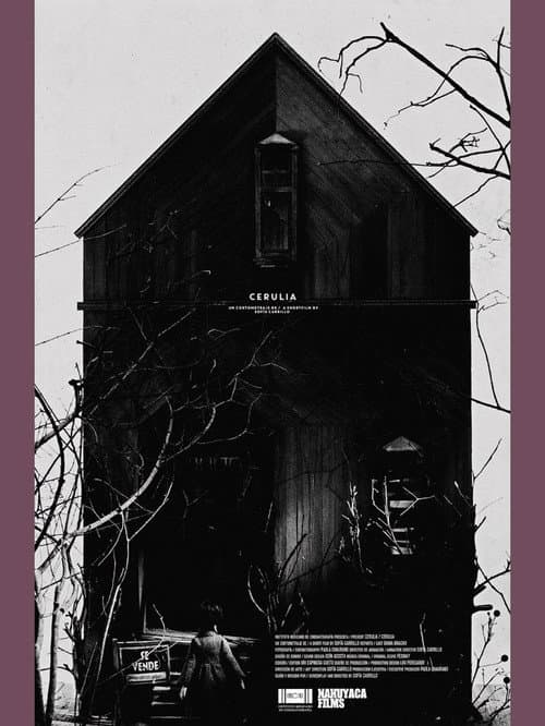 Cerulia (2017) poster