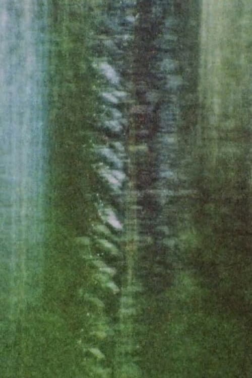 Rue De La Montagne (2012) poster