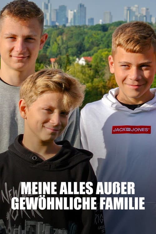 Meine alles außer gewöhnliche Familie (2021) poster