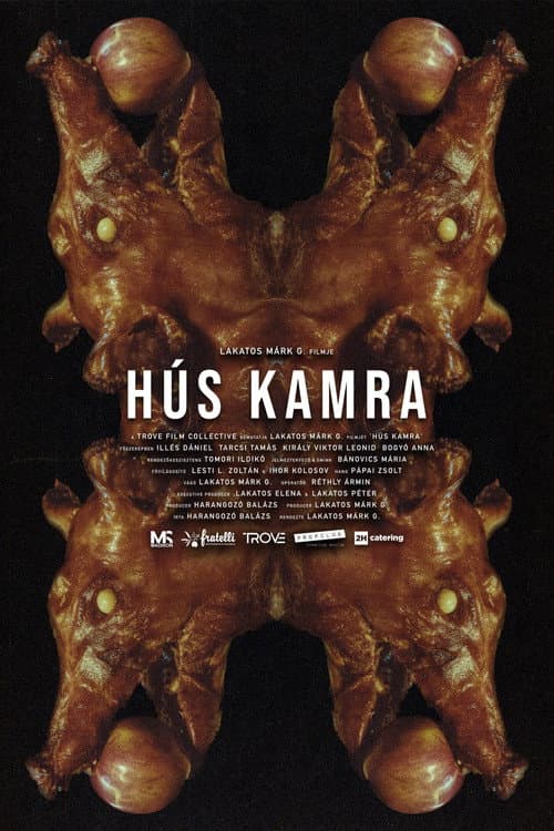 Hús Kamra (2026) poster