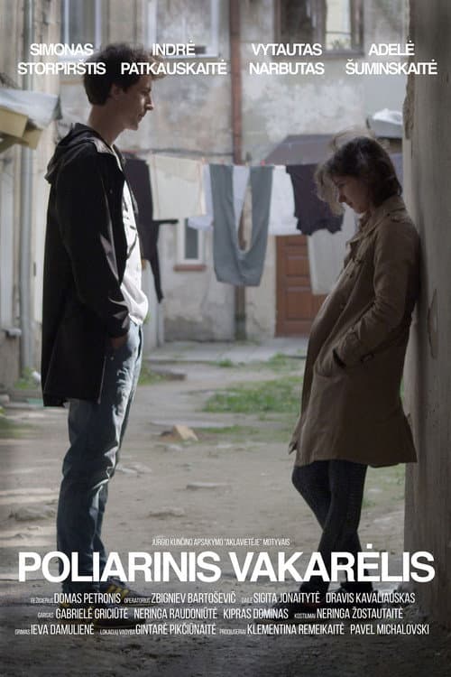 Poliarinis vakarėlis (2015) poster