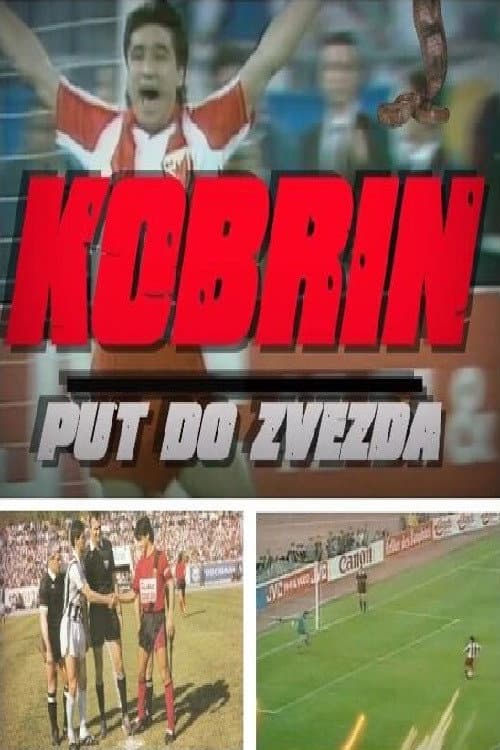 Kobrin put do zvezda (2023) poster