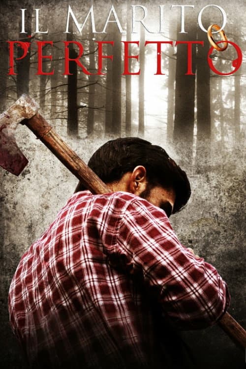 Il Marito Perfetto (2011) poster