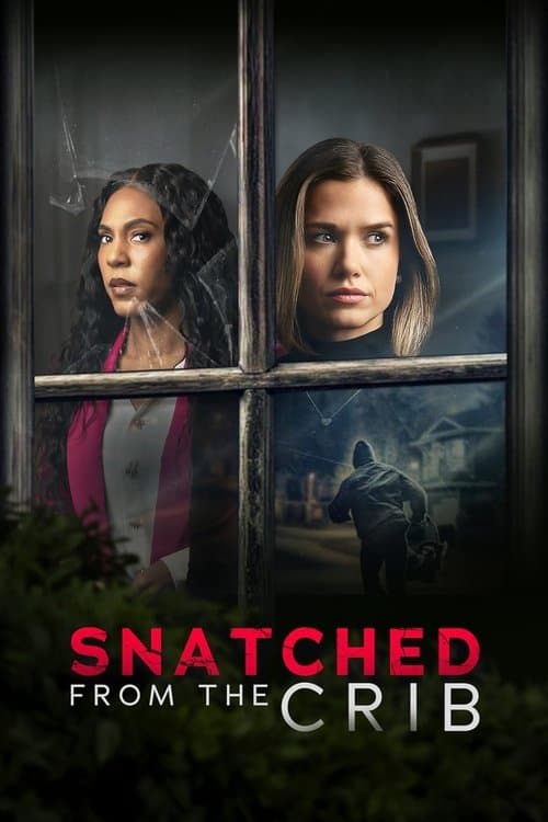 Snatched From The Crib (2025) poster
