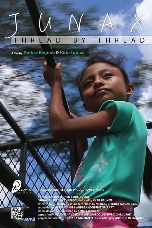 Junax, hilo por hilo (2020) poster