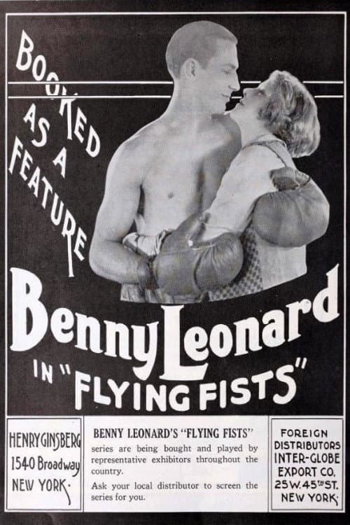 Flying Fists (1924) poster