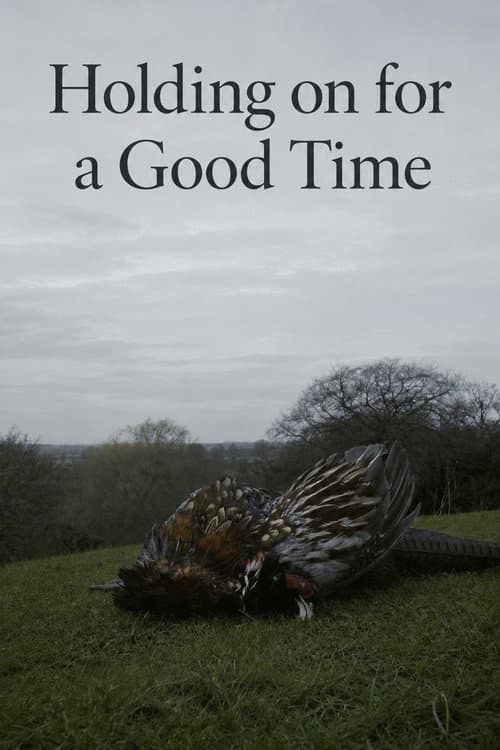 Holding on for a Good Time (2015) poster