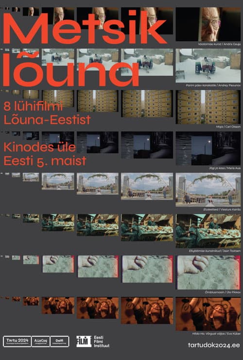Metsik lõuna (2024) poster