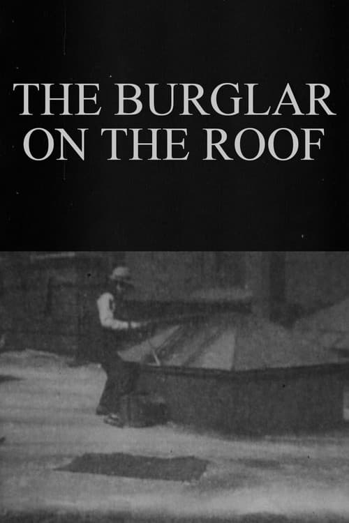The Burglar on the Roof (1898) poster