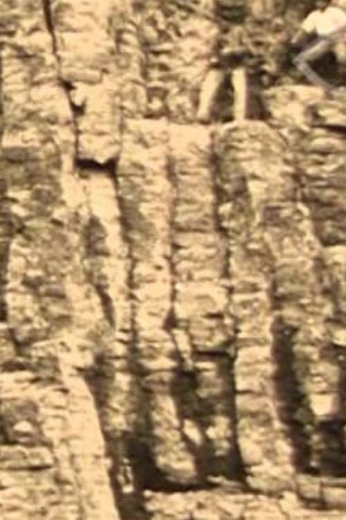 Het Bedrijf der Nederlandsche Basalt Maatschappij 'Zaandam' in Duitschland en Holland (1920) poster