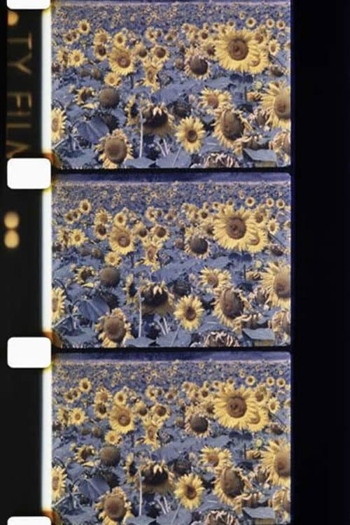 Les tournesols colorés (1983) poster