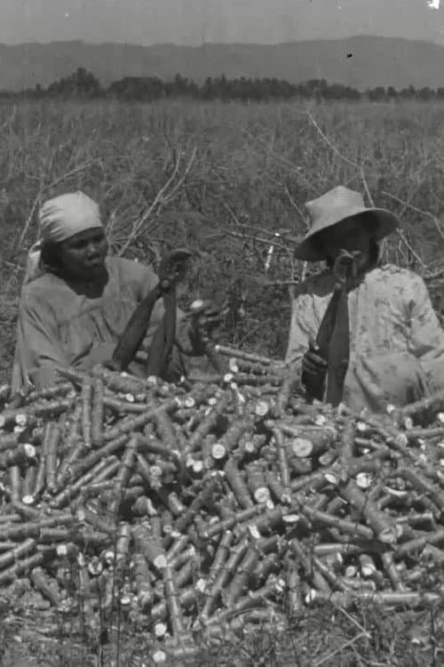La chanson du manioc (1944) poster