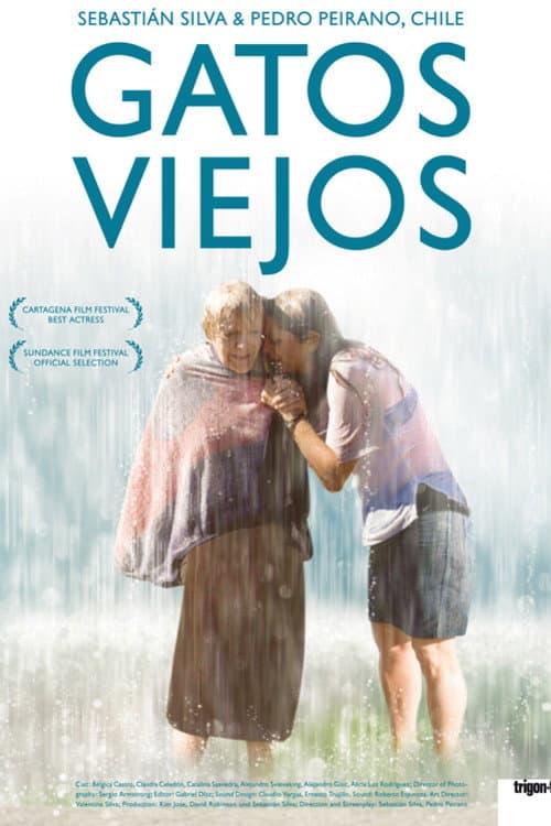 Gatos viejos (2010) poster