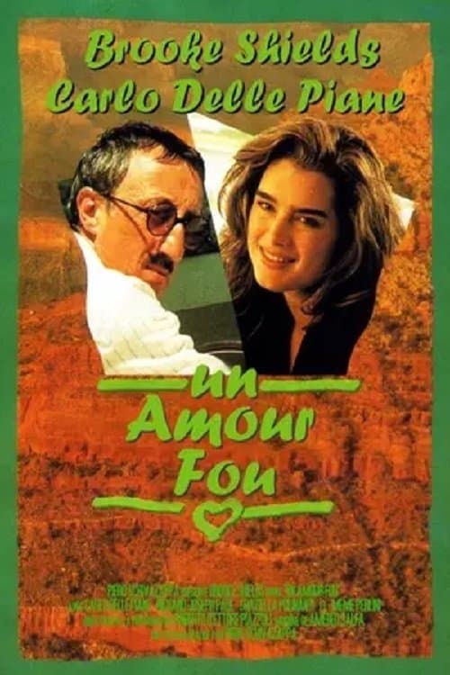 An American Love (1994) poster
