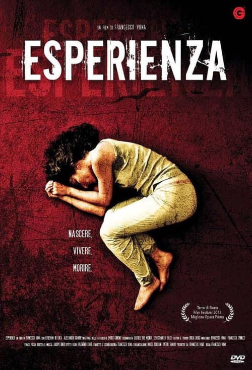 Esperienza (2013) poster