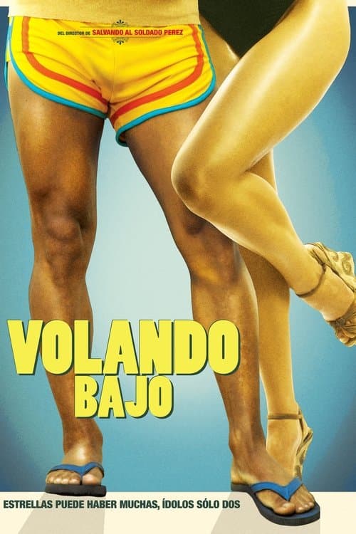 Volando bajo (2013) poster