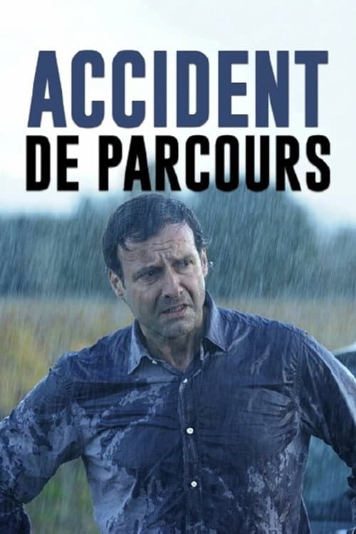 Accident de parcours (2011) poster