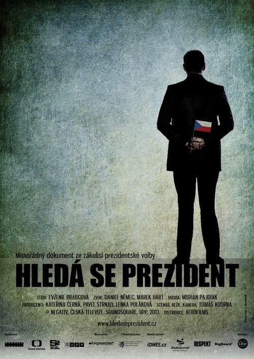 Hledá se prezident (2013) poster