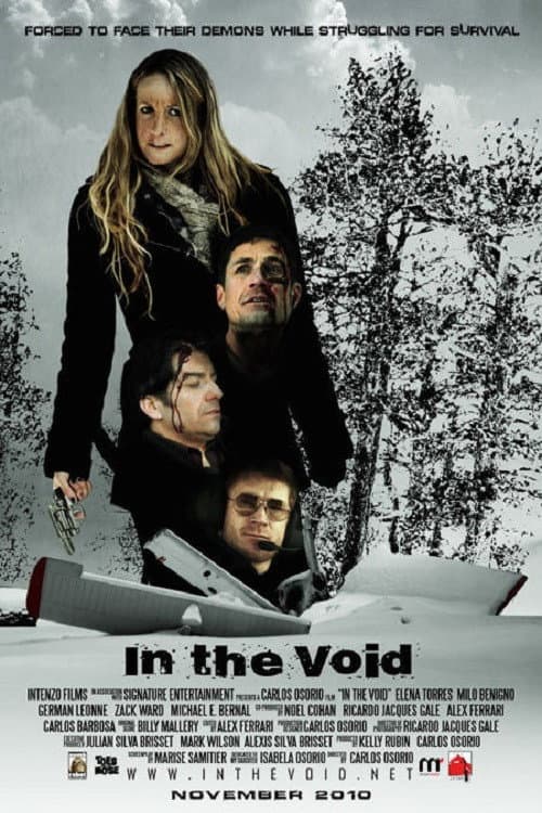 In the Void (2013) poster