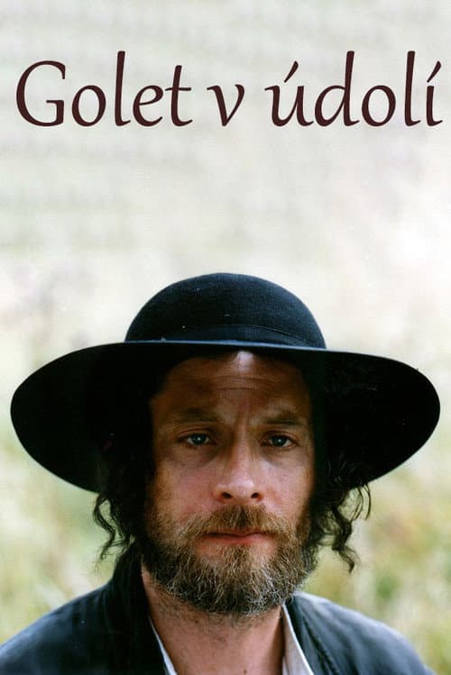 Golet v údolí (1995) poster