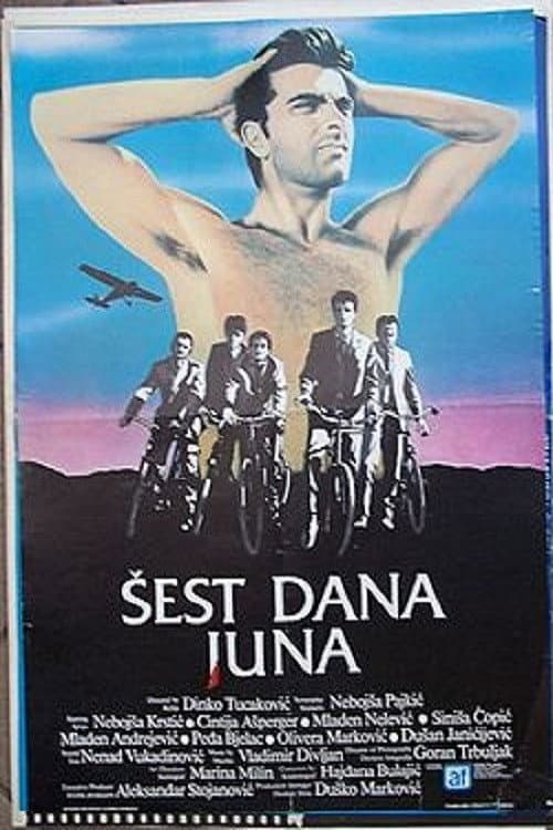 Šest dana juna (1985) poster