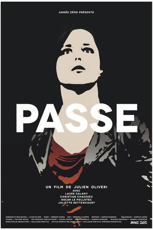 Passe (2013) poster