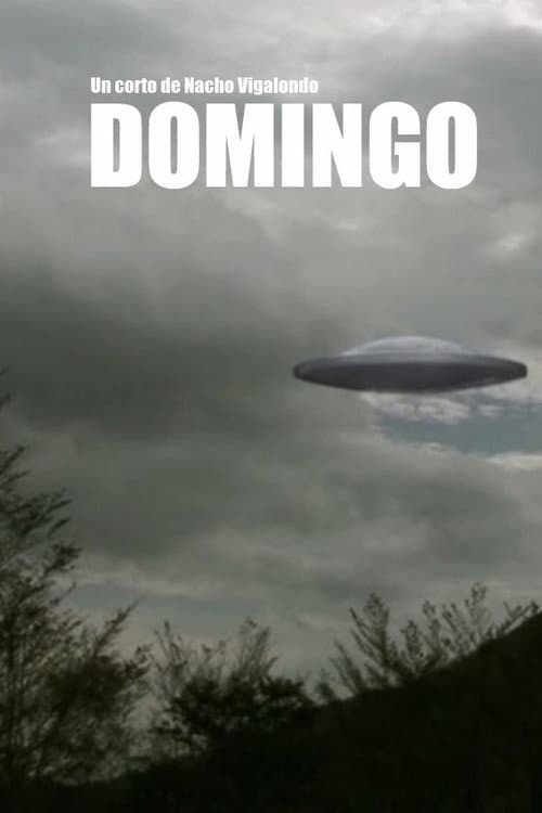 Domingo (2007) poster
