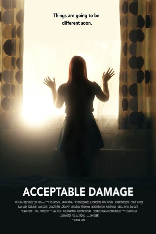 Acceptable Damage (2019) poster