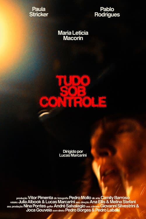 Tudo Sob Controle (2024) poster
