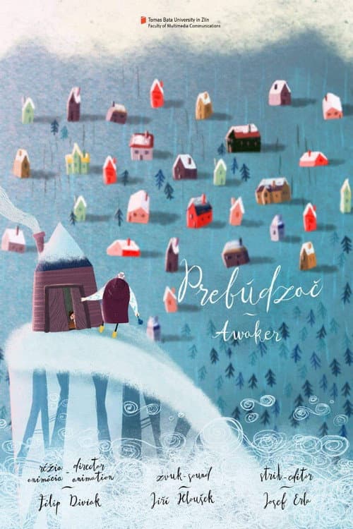 De wakkermaker (2017) poster