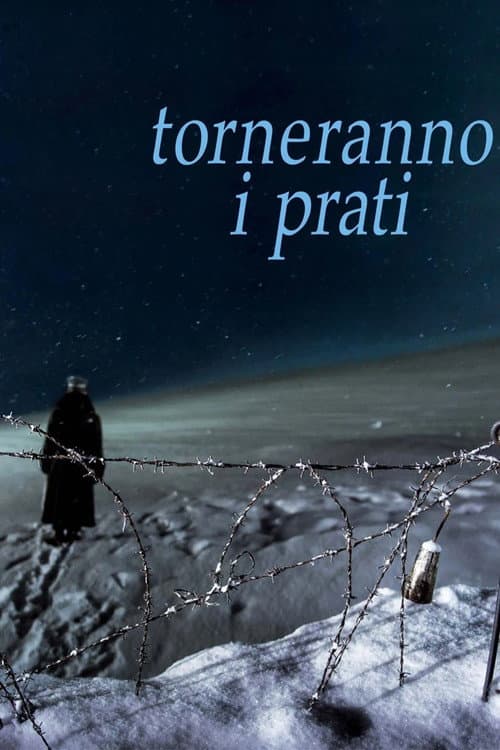Torneranno i prati (2014) poster