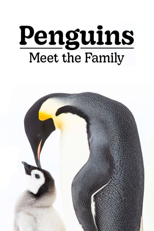 Penguins: Meet the Family (2020) poster