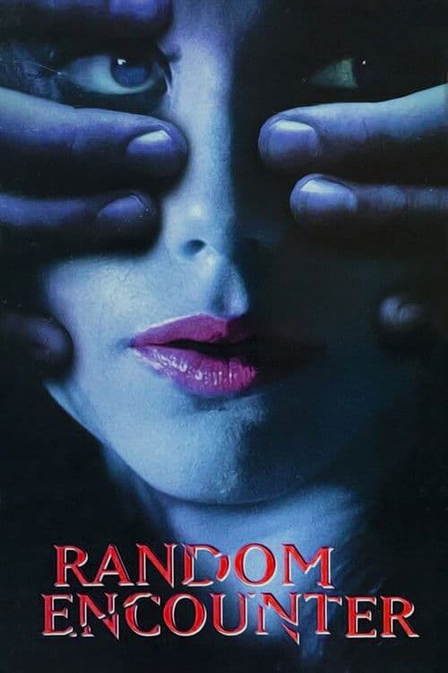 Random Encounter (1998) poster