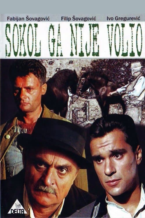 Sokol ga nije volio (1988) poster
