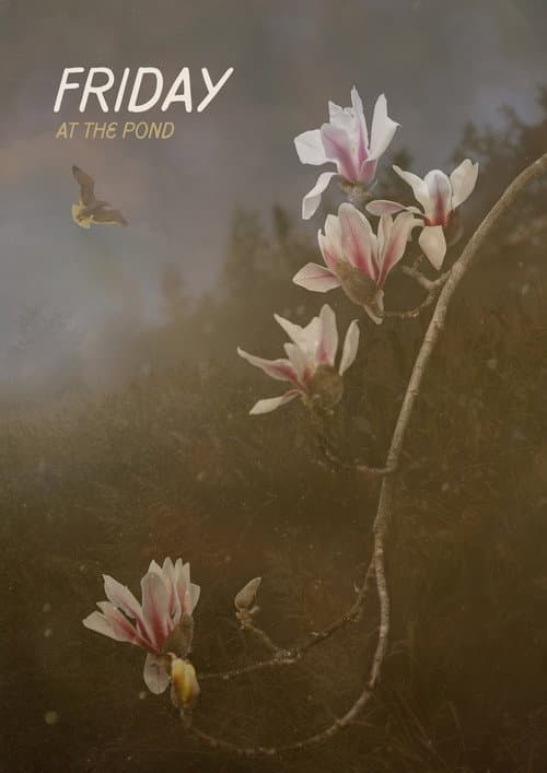 Friday At The Pond (2026) poster