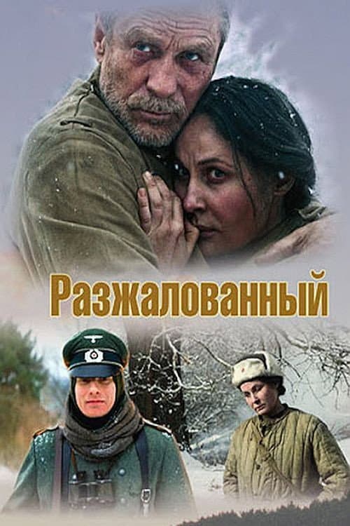 Разжалованный (2009) poster