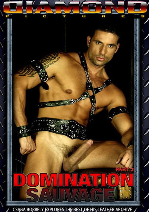 Domination Sauvage 2 (2012) poster