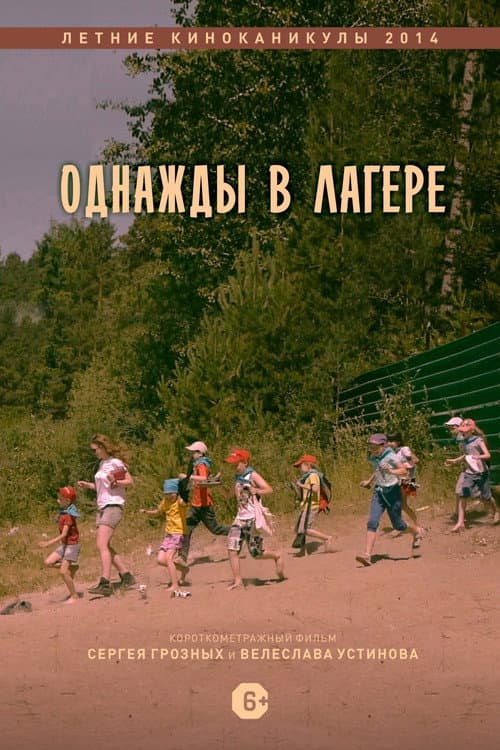 Однажды в лагере (2014) poster