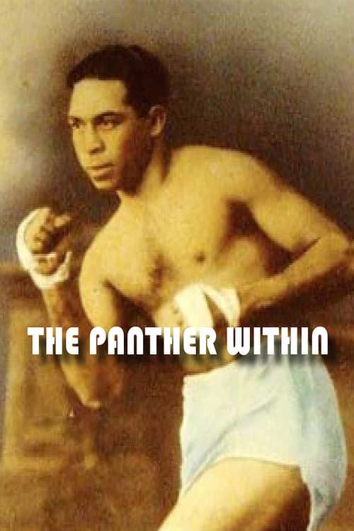 The Panther Within (2016) poster