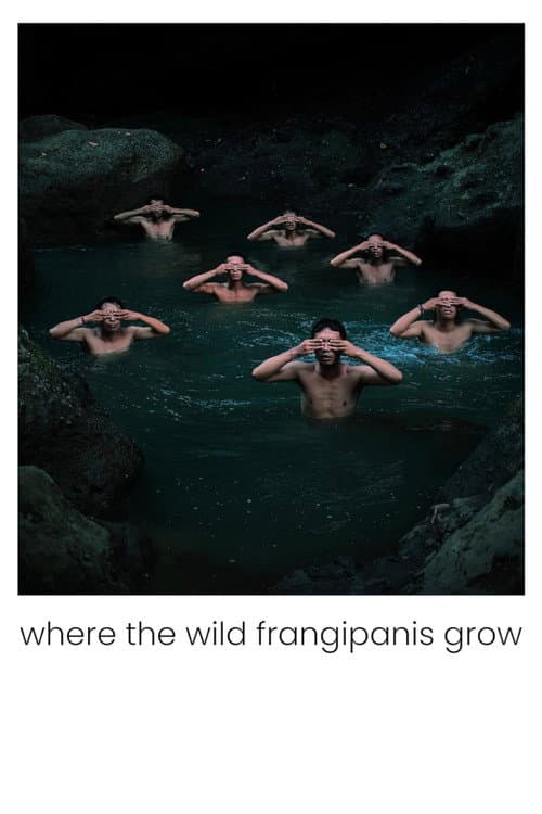 Where the Wild Frangipanis Grow (2023) poster