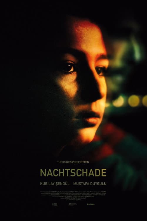 Nachtschade (2017) poster