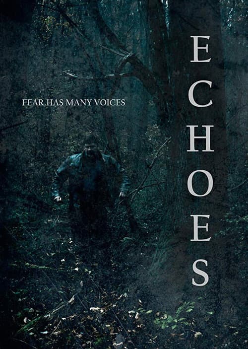 Echoes (2018) poster