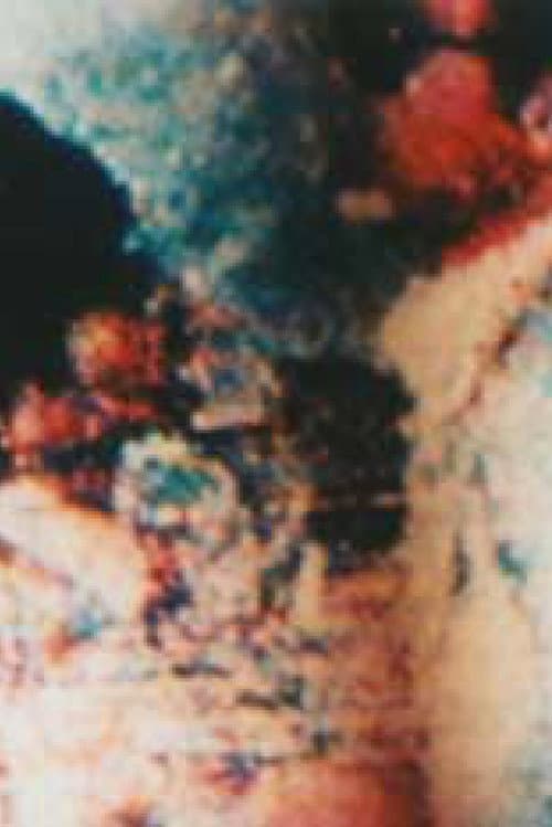 Passion Triptych (1982) poster