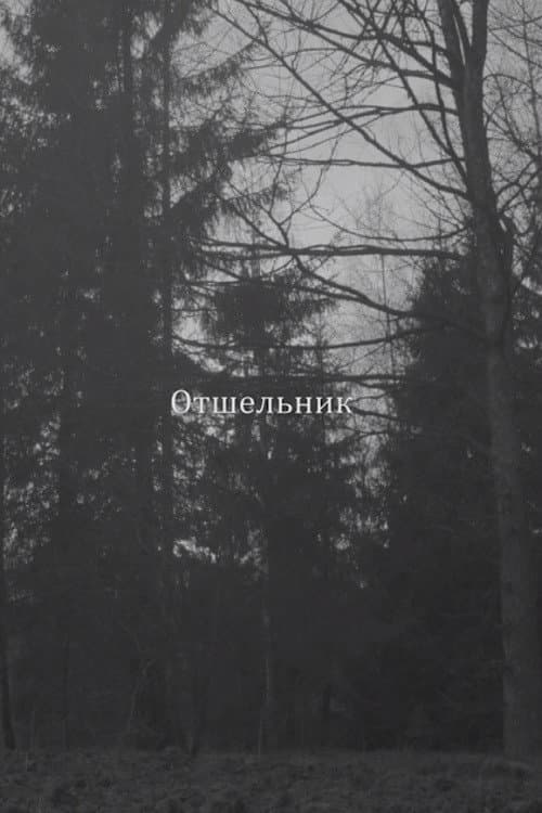 Отшельник (2018) poster