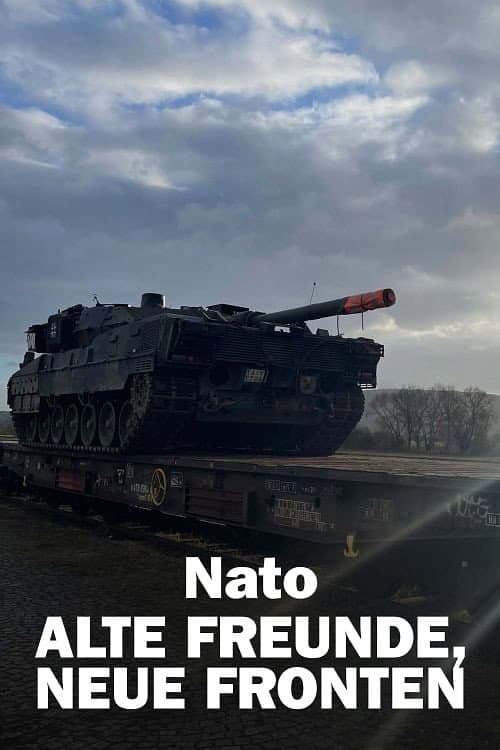 Nato – Alte Freunde, neue Fronten (2024) poster