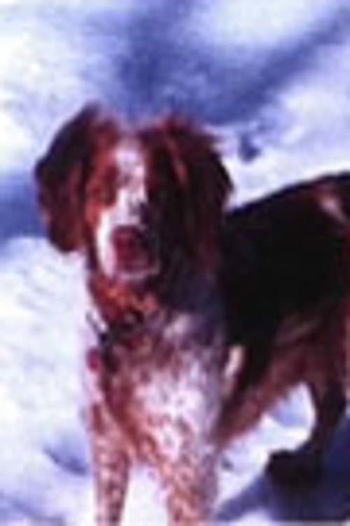Louïe (2007) poster