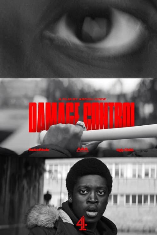 Damage Control (Enough) (2020) poster